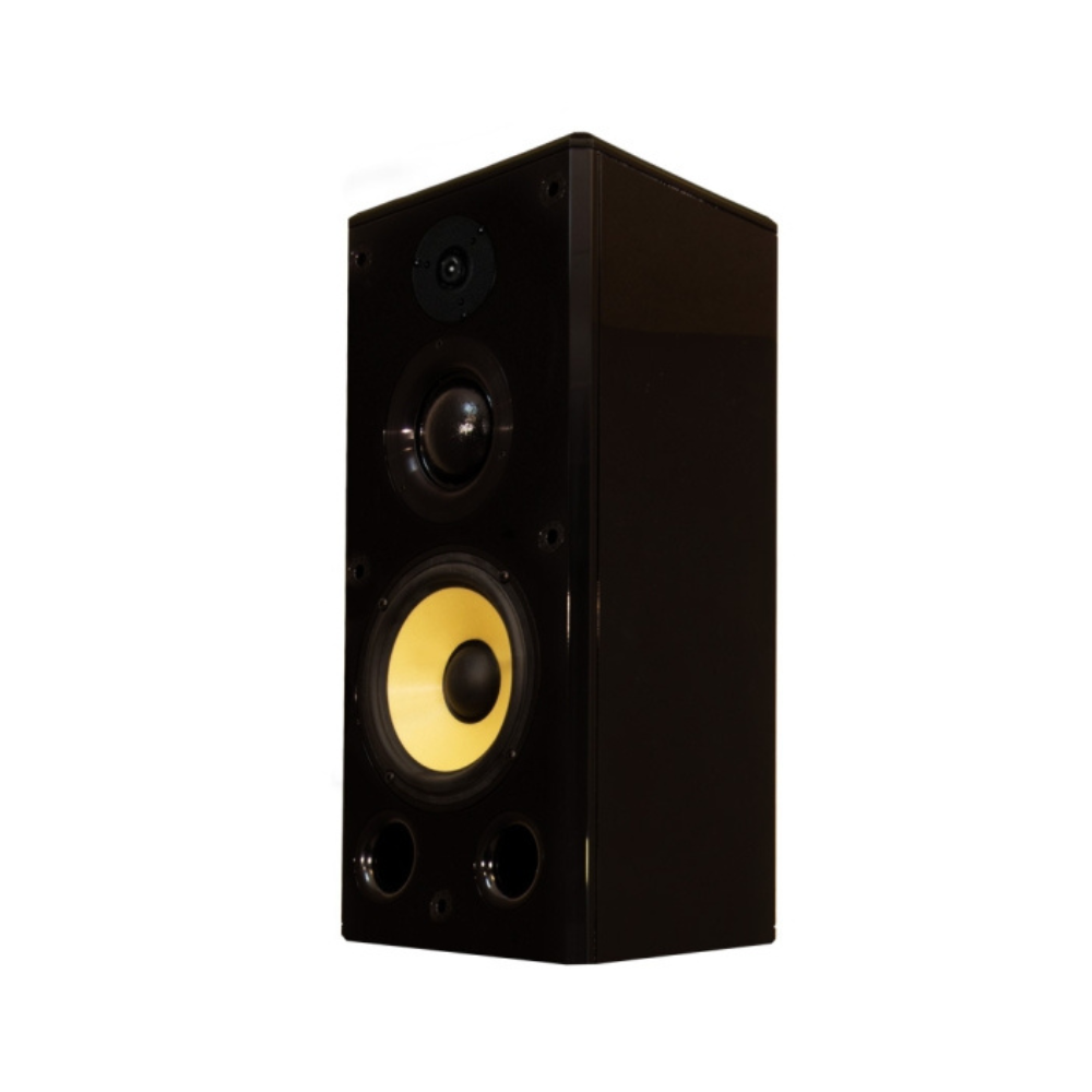 Induction Dynamics Single Bookshelf Speaker