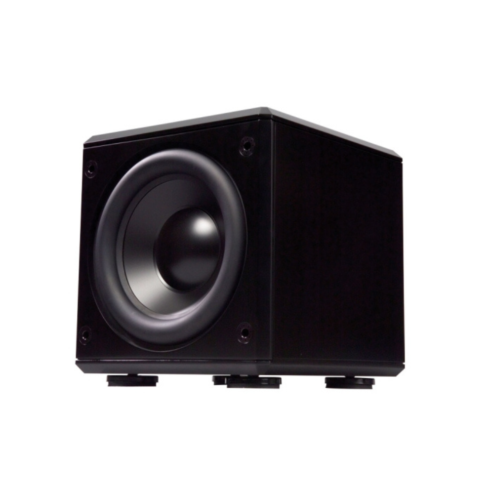 Induction Dynamics 10" Subwoofer